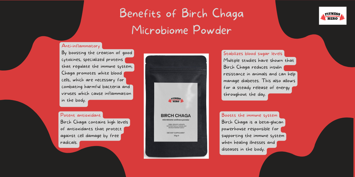 Birch Chaga Microbiome Wellness Powder