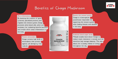 Chaga Mushroom Capsules