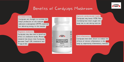 Cordyceps Mushroom