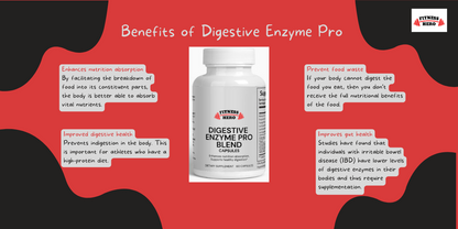 Digestive Enzyme Pro Blend